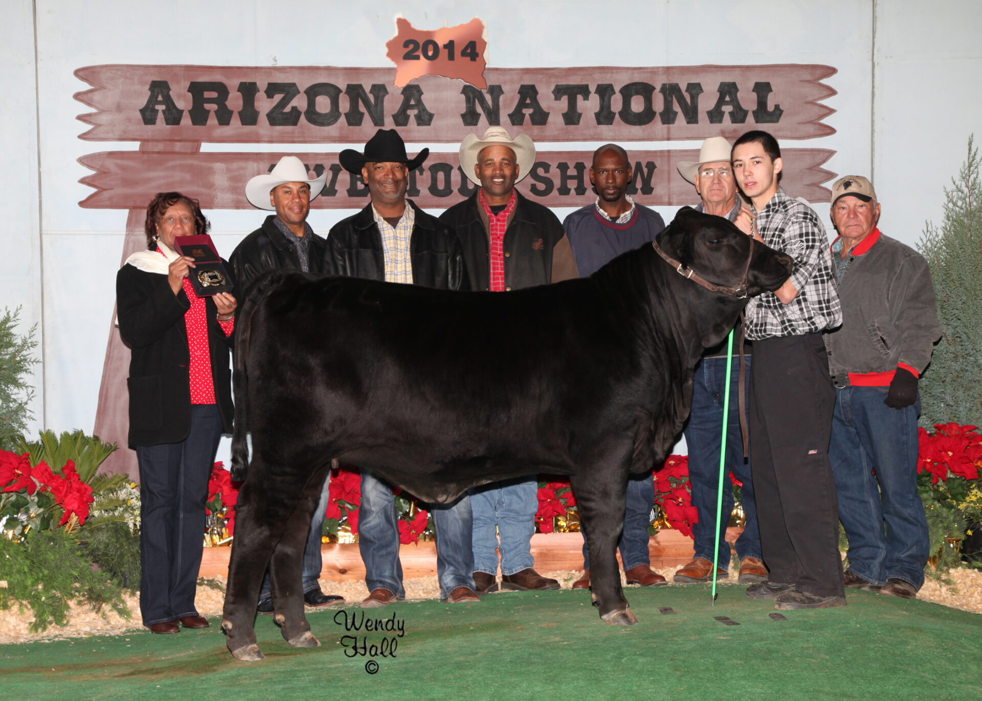 Arizona National Livestock Show Alex Dees Memorial Foundation, Inc.